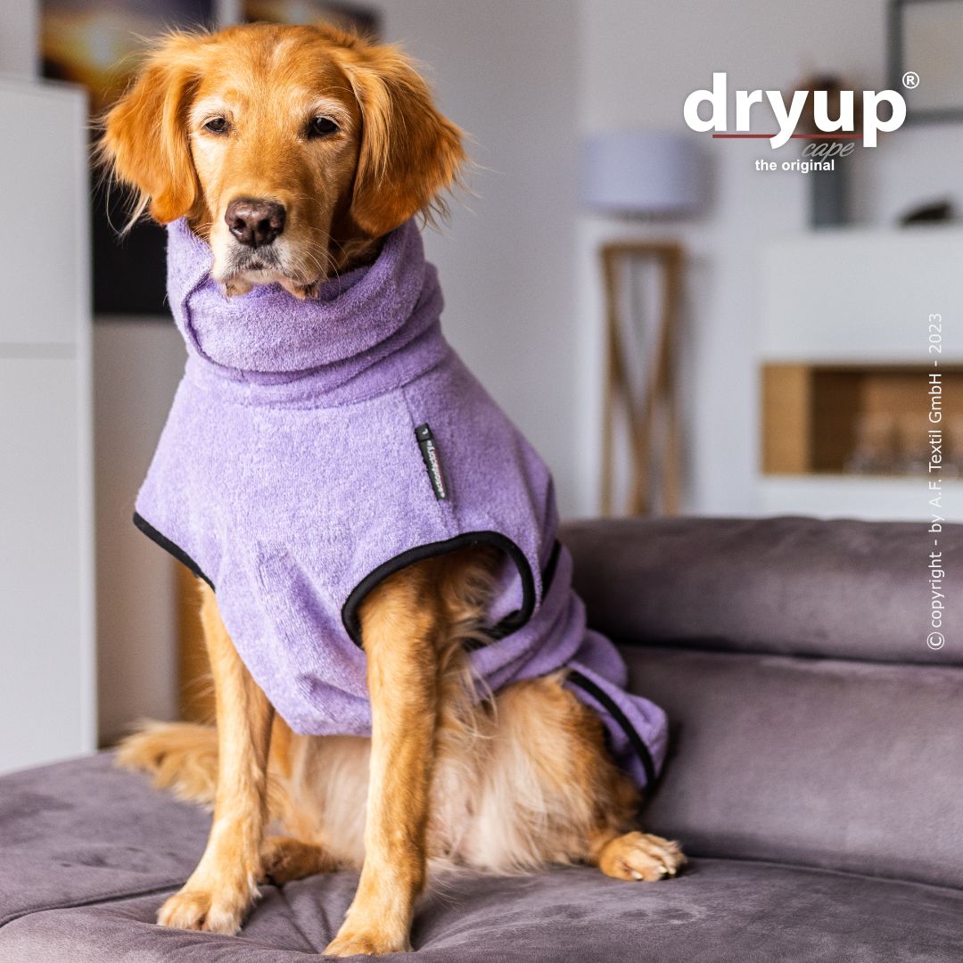 Dryup® Cape Lavendel von Actionfactory