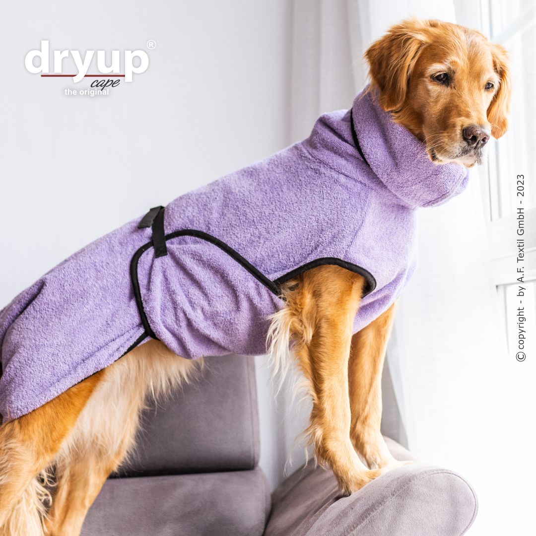 Dryup® Cape Lavendel von Actionfactory