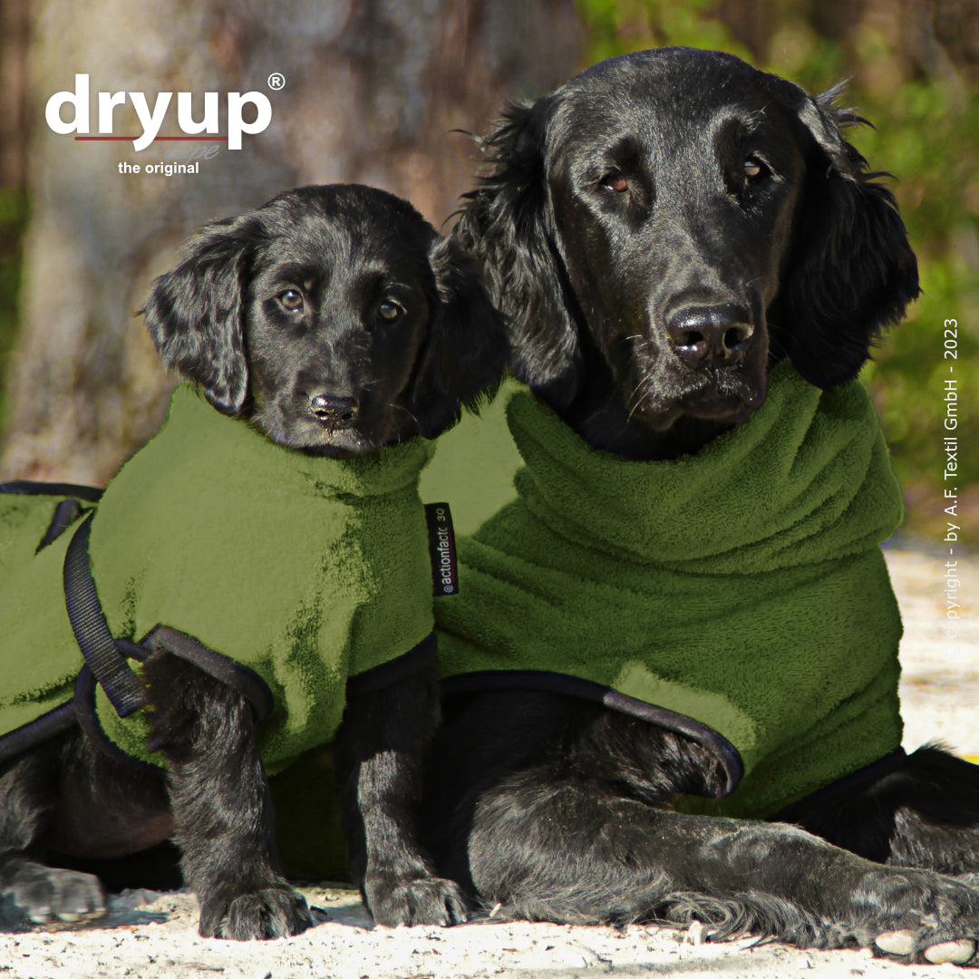 Dryup® Cape Moos von Actionfactory