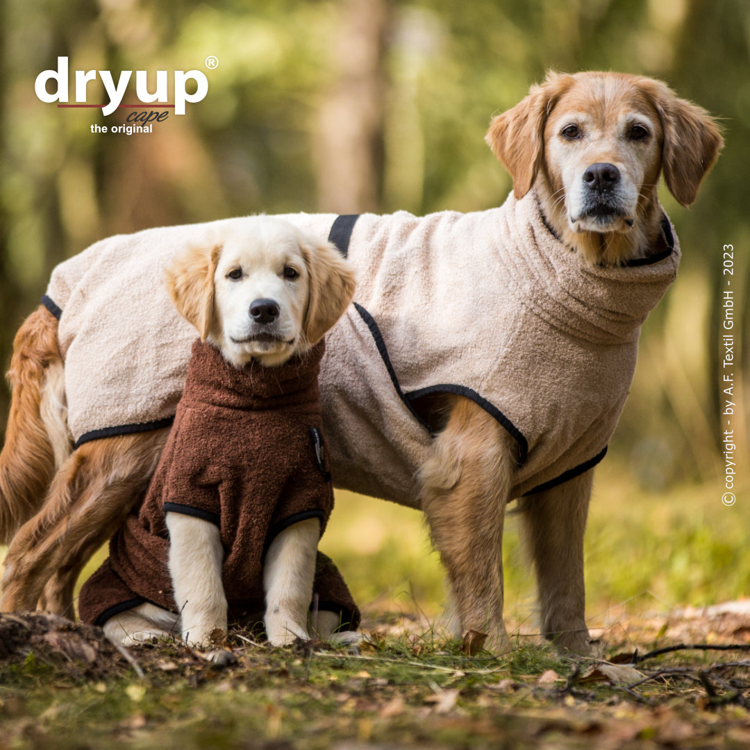 Dryup® Cape Sand von Actionfactory