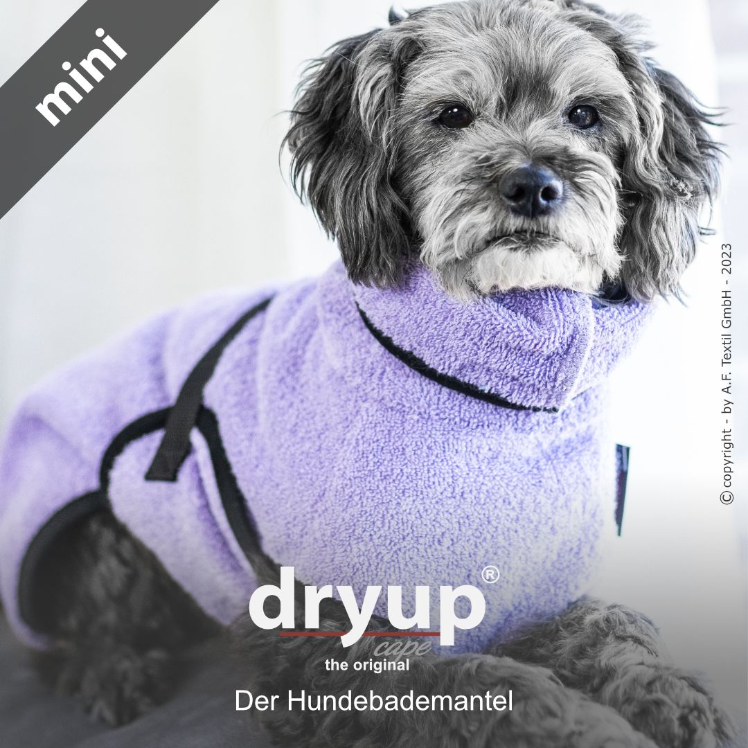 Dryup® Cape Mini Lavendel von Actionfactory