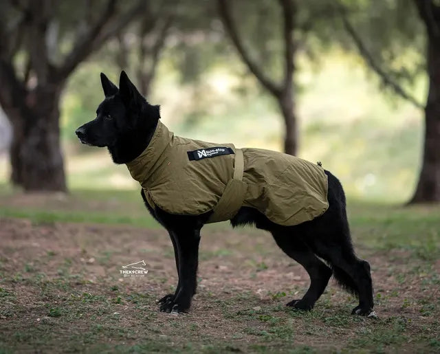 Non-Stop Dogwear Glacier Dog Jacket WD