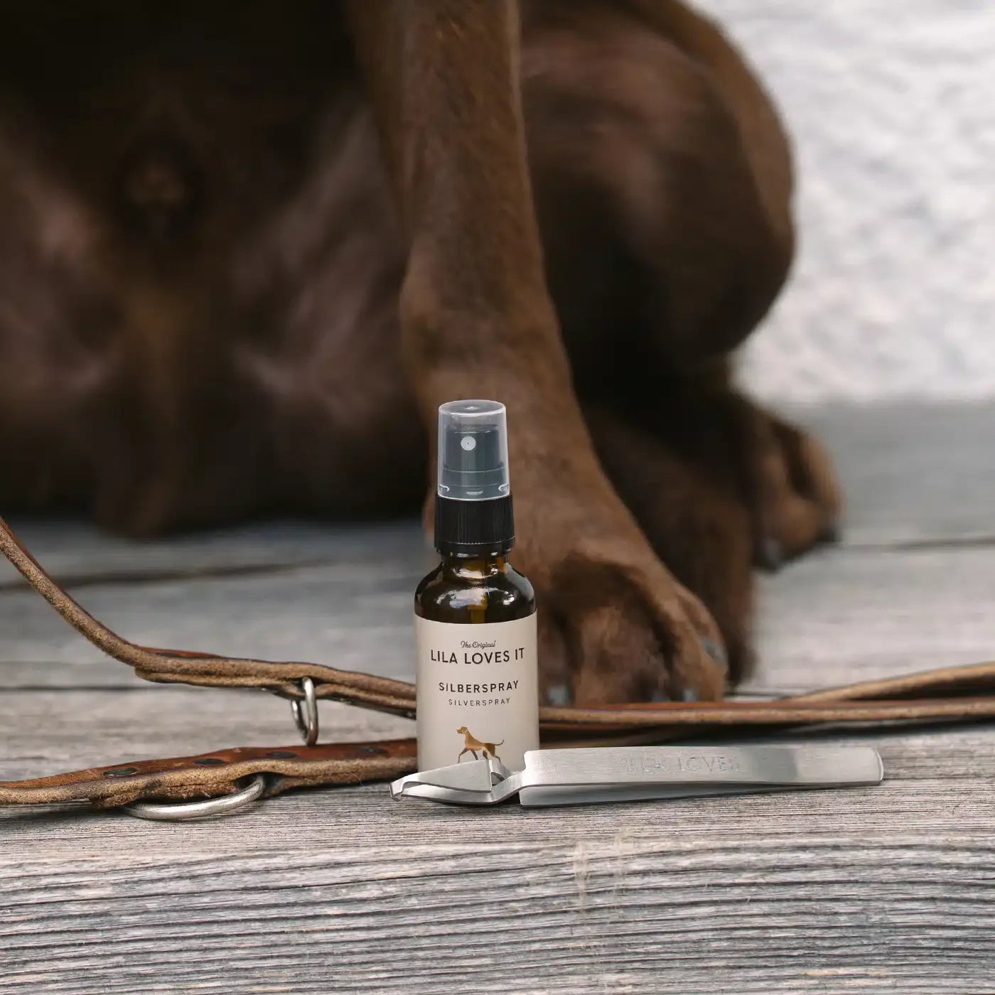 LILA LOVES IT Silber Spray