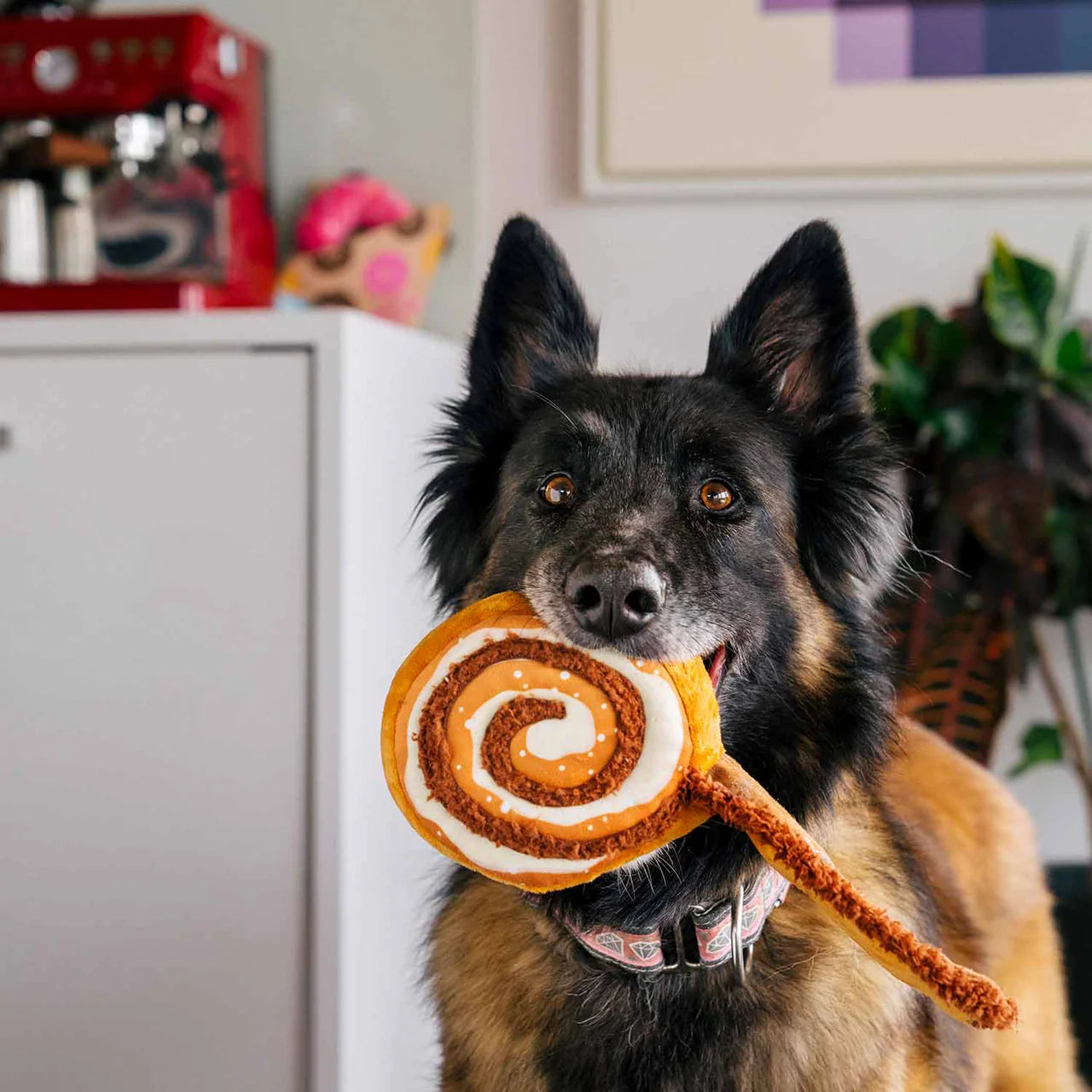 P.L.A.Y Pup Cup Café Zimtschnecke