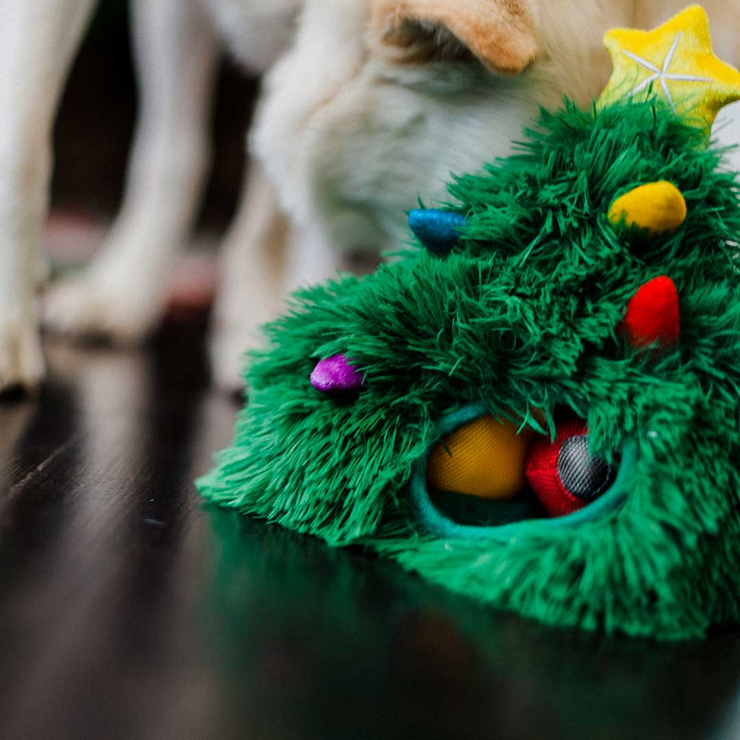 P.L.A.Y Fröhliche Woofnachten Doglas Fur