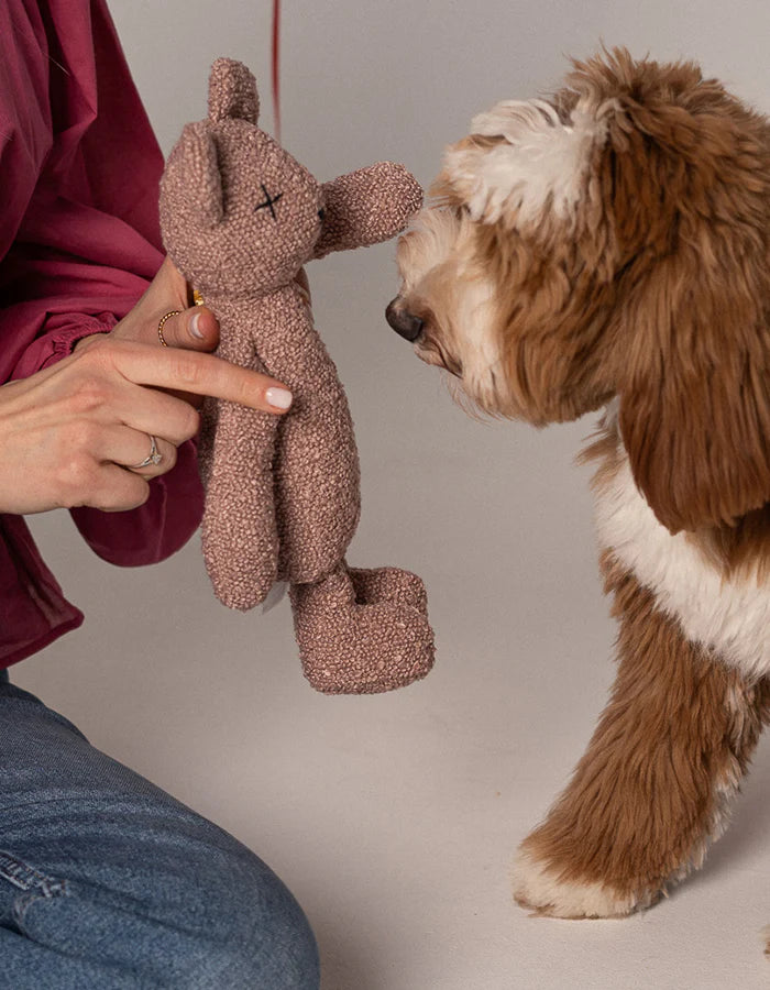 Hundespielzeug Berty the Bear von Lillabel